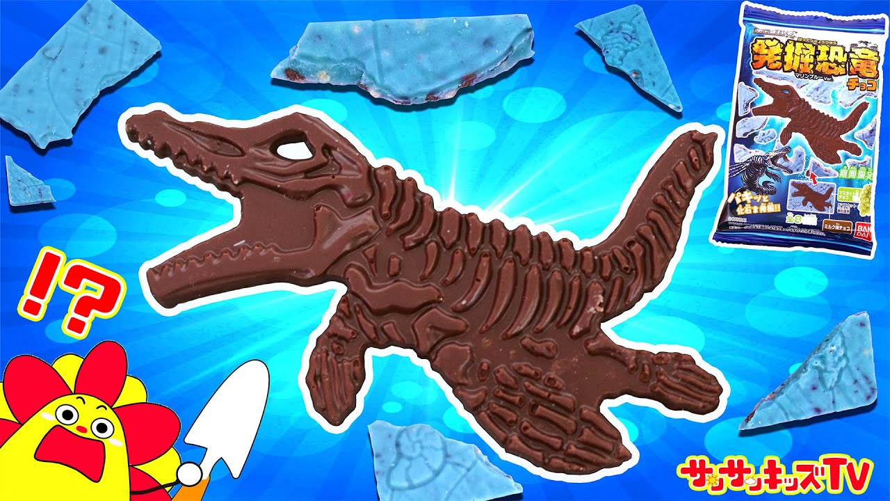 【恐竜】キャラパキ開封！モササウルスの化石をチョコの中から発掘せよ！ティラノサウルスやトリケラトプスを合体♪子供向け知育教育★サンサンキッズTV★