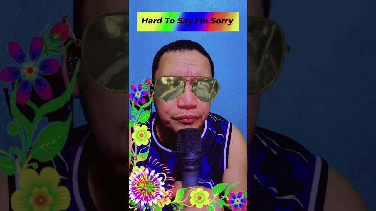Hard To Say I'm Sorry...🎙️🎙️🎸🎶🎤...#coversong#music#fyp#viral