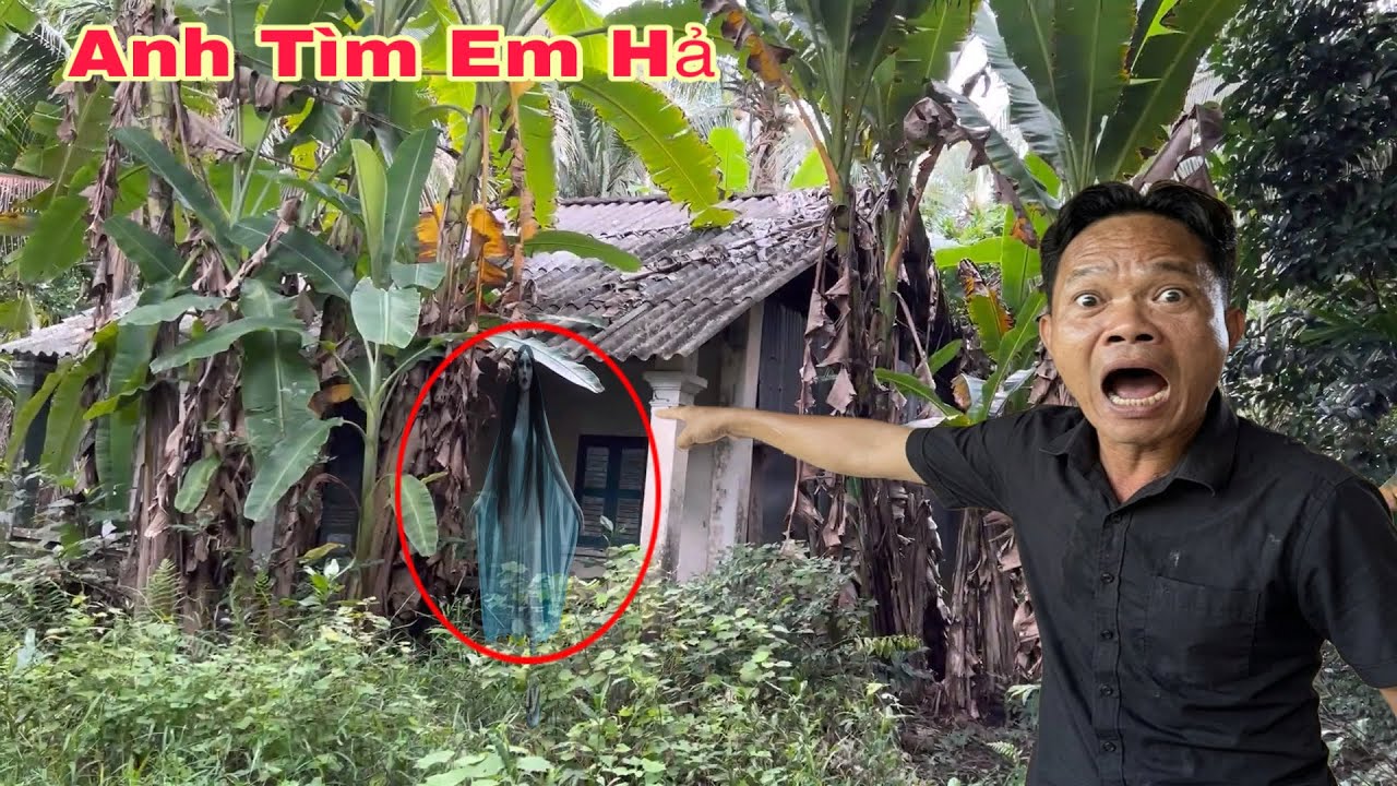 Ph&aacute;t Hiện 