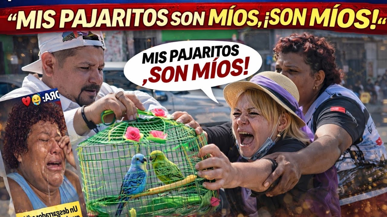 ESTOS NO ME LO ESPRABA 26 de enero de 2026