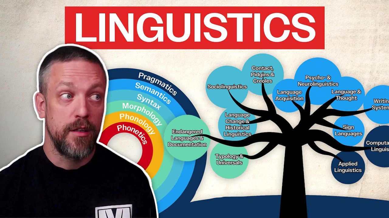 Linguistics, explained