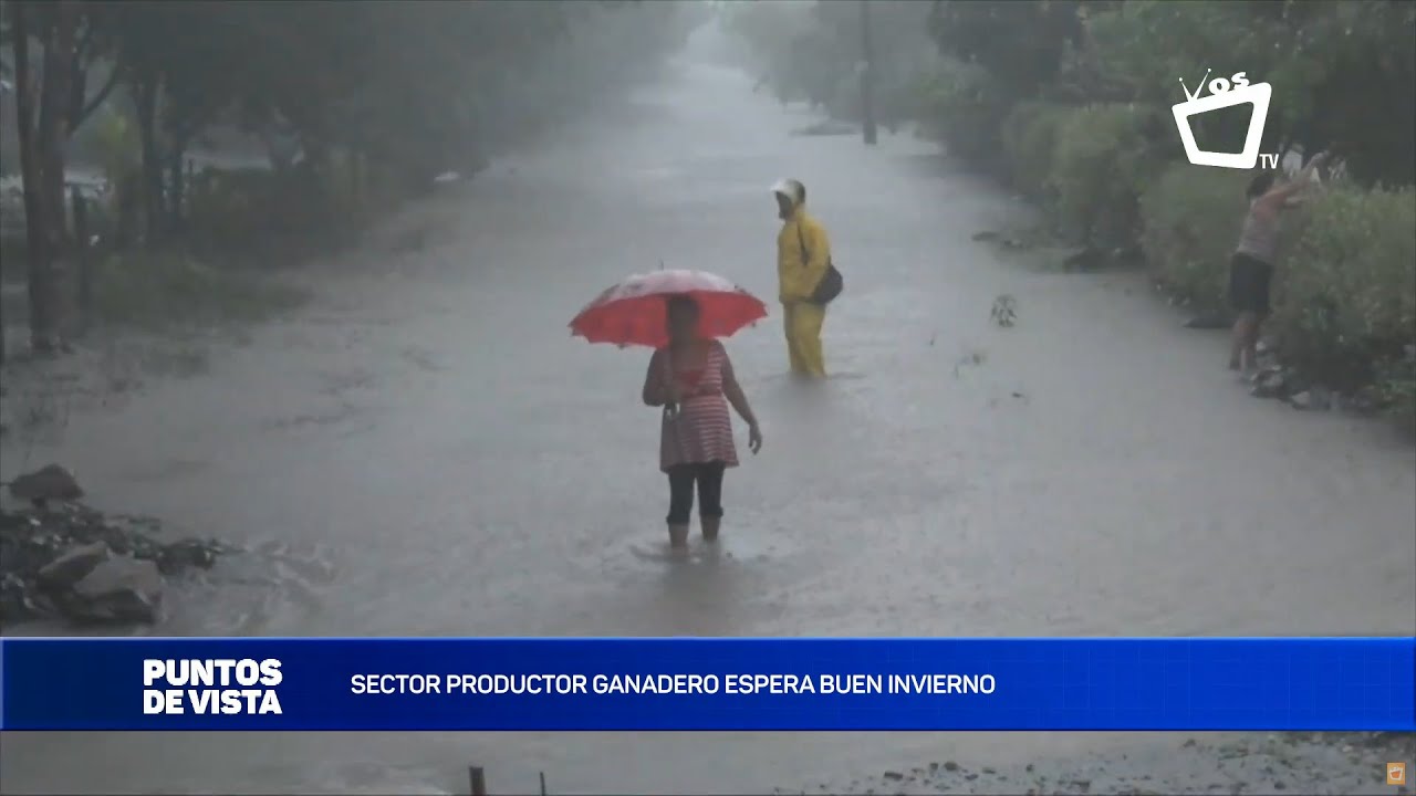 Sector productor ganadero espera buen invierno este año || PUNTOS DE VISTA