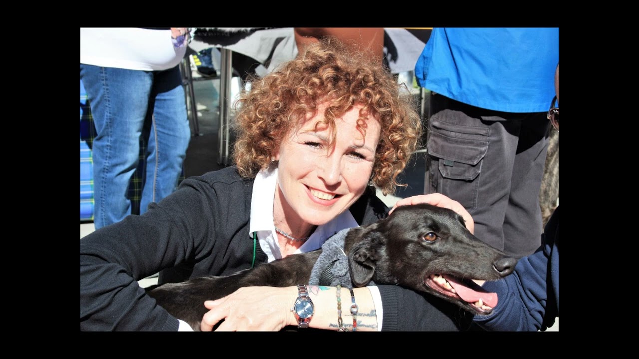 Arrivo greyhounds del 1 Aprile 2023