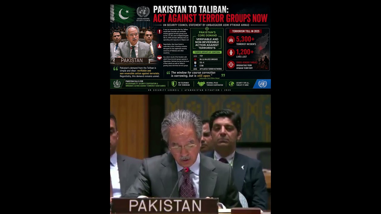 Pakistan Demands Action Against TTP, BLA & ISIL-K | UN Security Council Speech