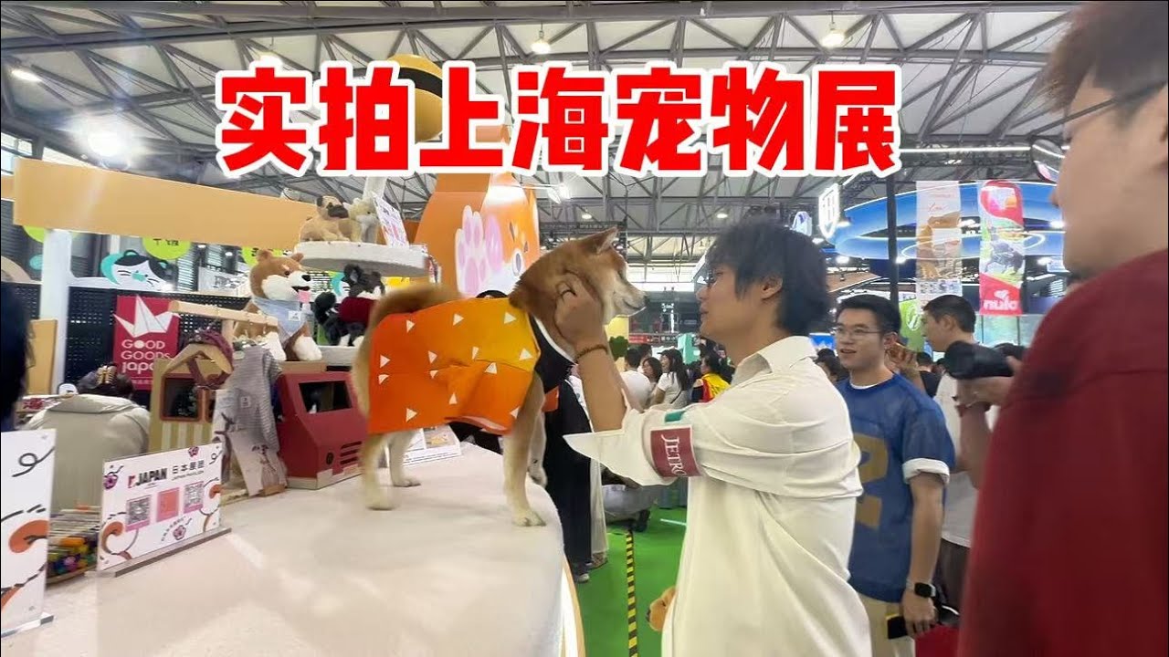 实拍上海宠物展，现场人山人海，猫狗产品大开眼界，家养动物嘉年华