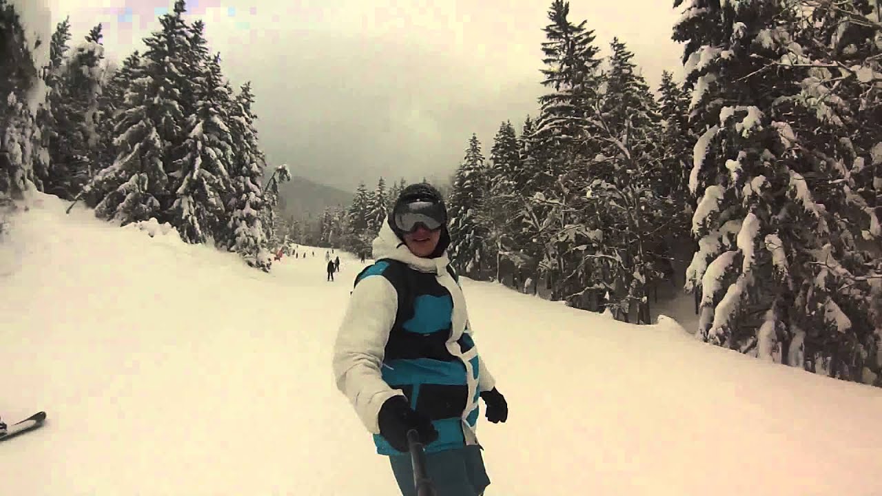 Villard 2015
