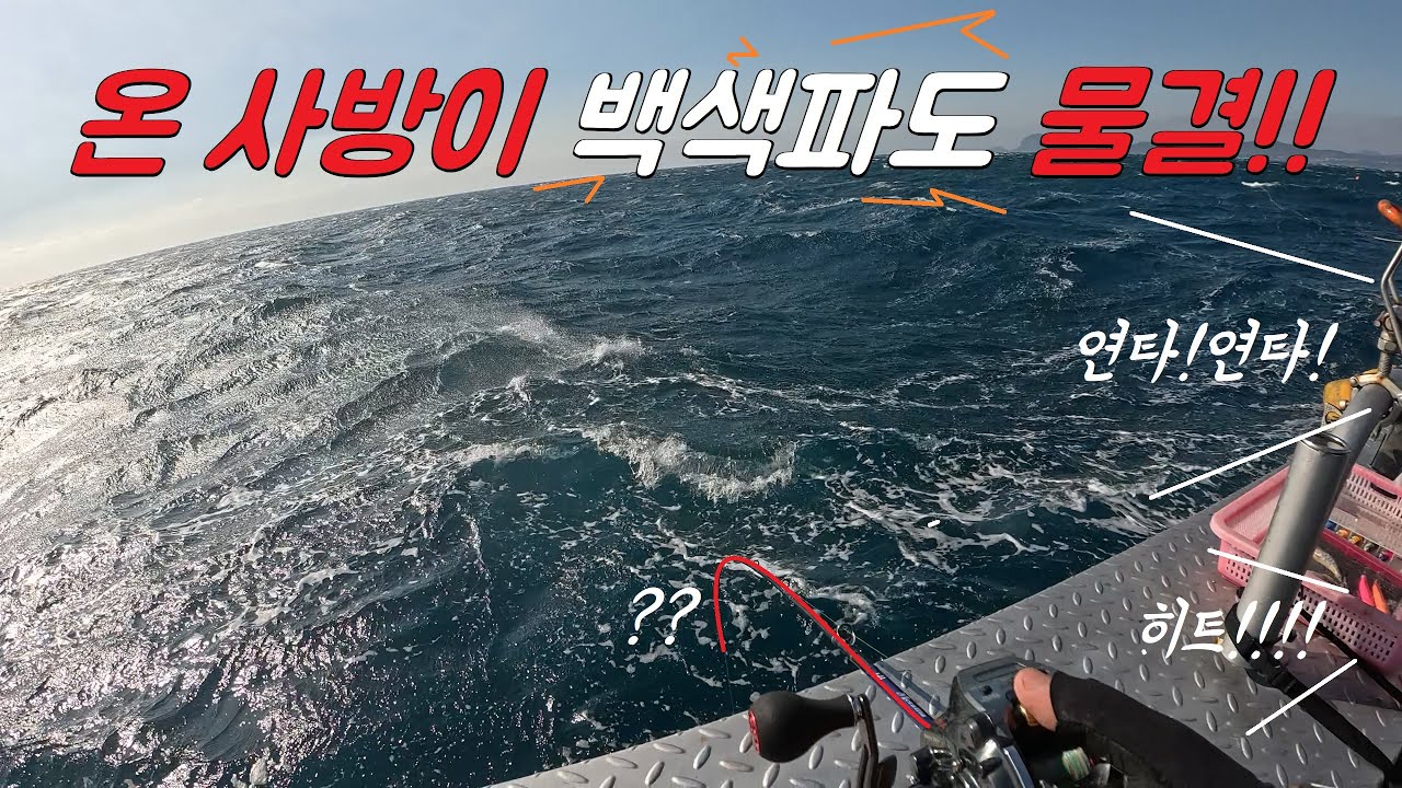 요즘은 이 낚시가 대세라며!?!? 수시로 바뀌는 너울과 비바람뚫고 잡은 제주갑오징어!!! cuttlefish