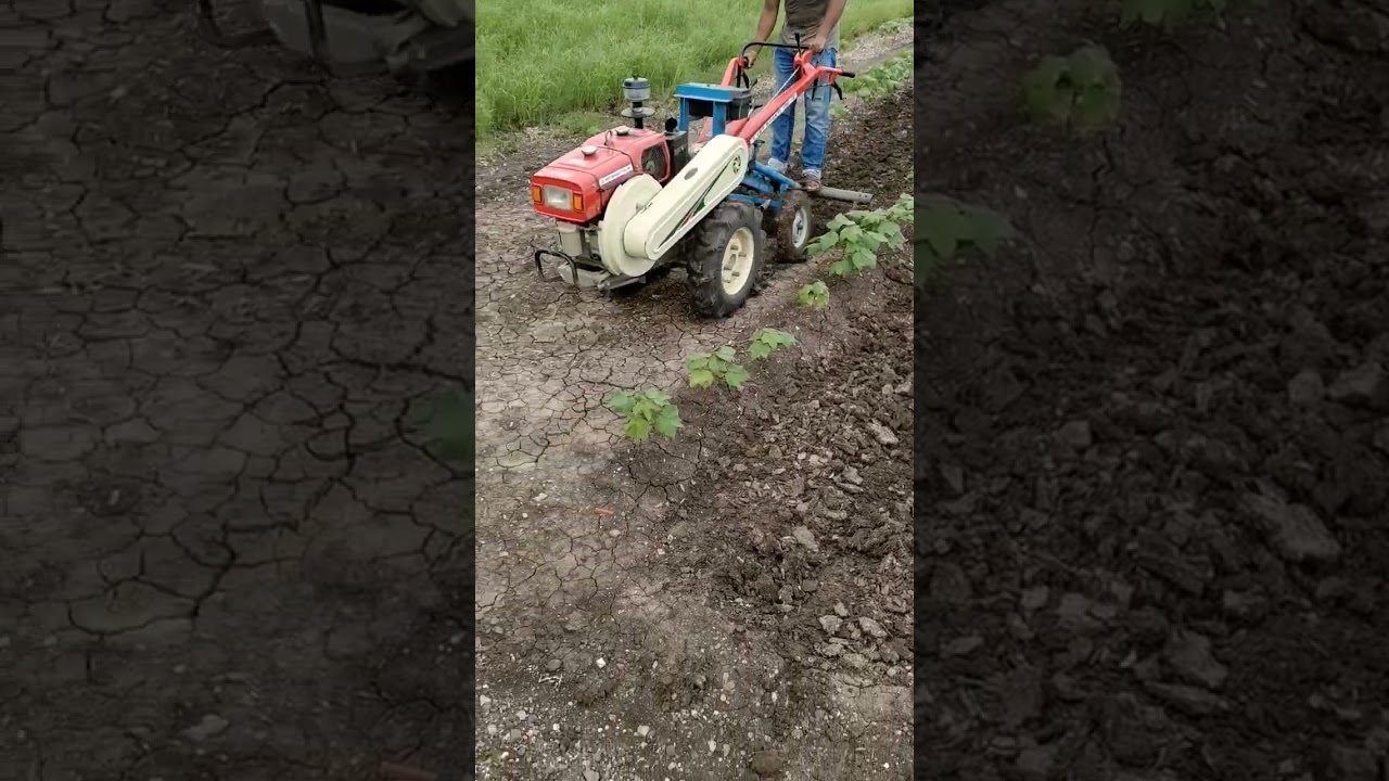 V.S.T Shakti 130-DI Power Tiller | Power Tiller review | #shorts | #viral | #vlog | #youtubeshorts