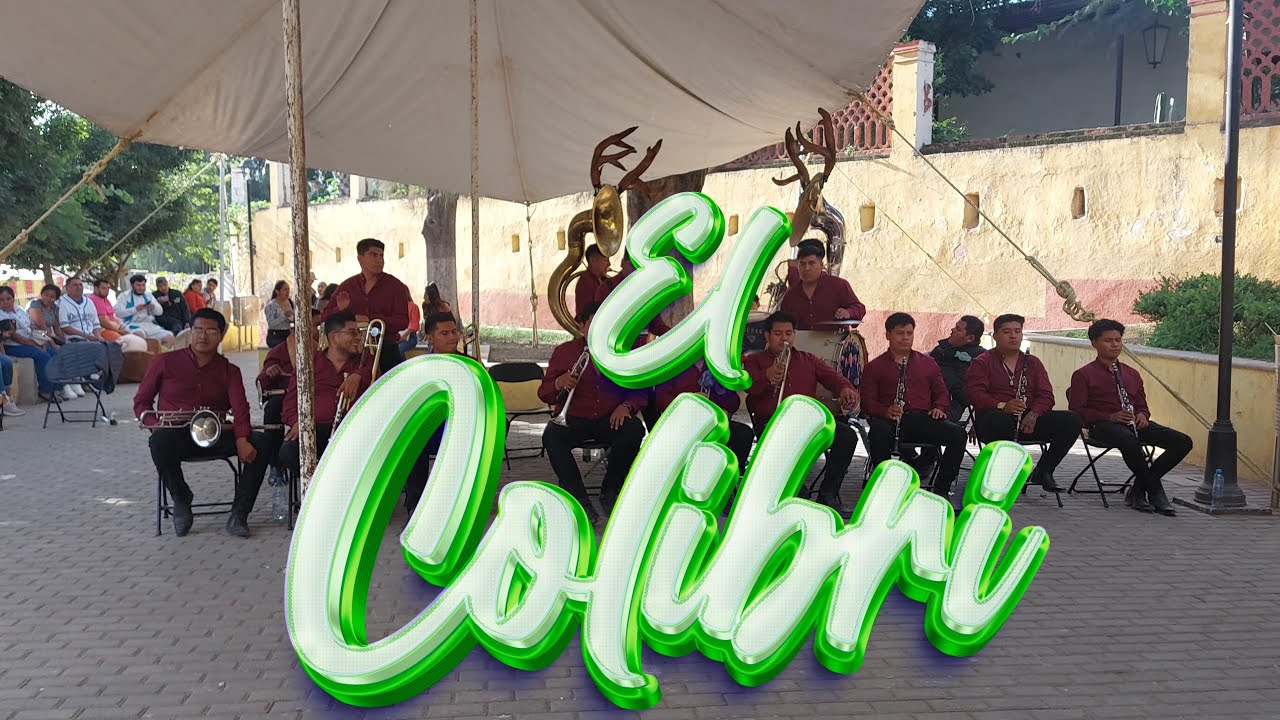 EL COLIBRI - BANDA LA PRESTIGIADA - EN VIVO 2024