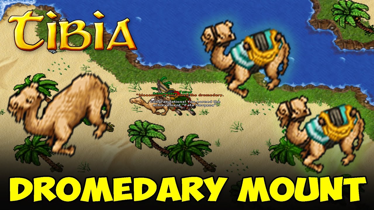 OSWAJAMY WIELBŁĄDA! - Tibia - Dromedary Mount - Jak złapać i gdzie?