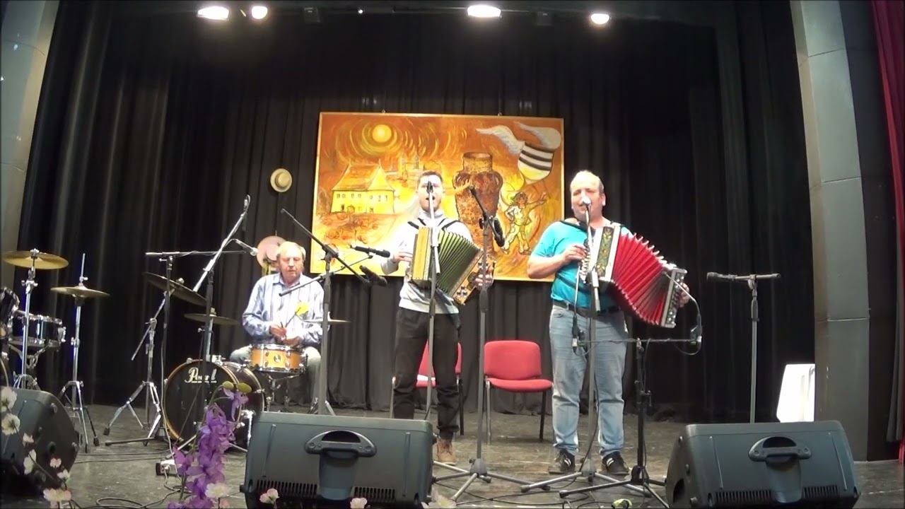 Setkání harmonikářů Loštice 23..3.2025. Díl druhý. Video a střihové úpravy Oldřich Jež Vítkov.
