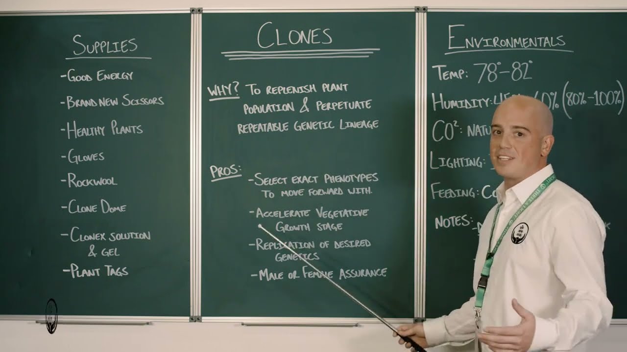 Course 1 - Taking Clones - Three A Light University