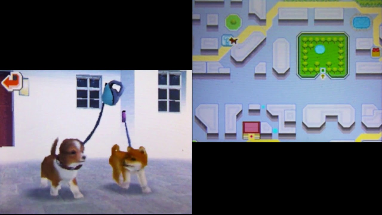 Nintendogs - Sample Gameplay