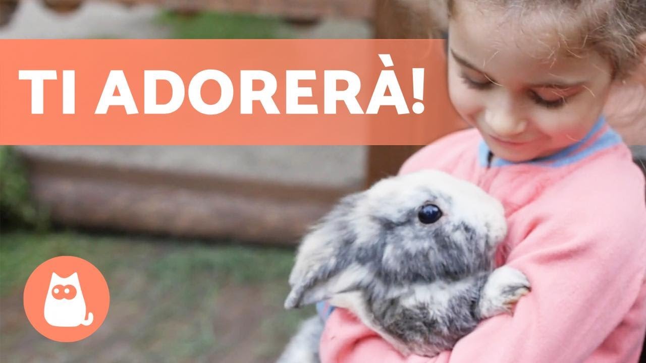 Come guadagnare la FIDUCIA di un CONIGLIO? 🐰🥕 (9 Consigli chiave)