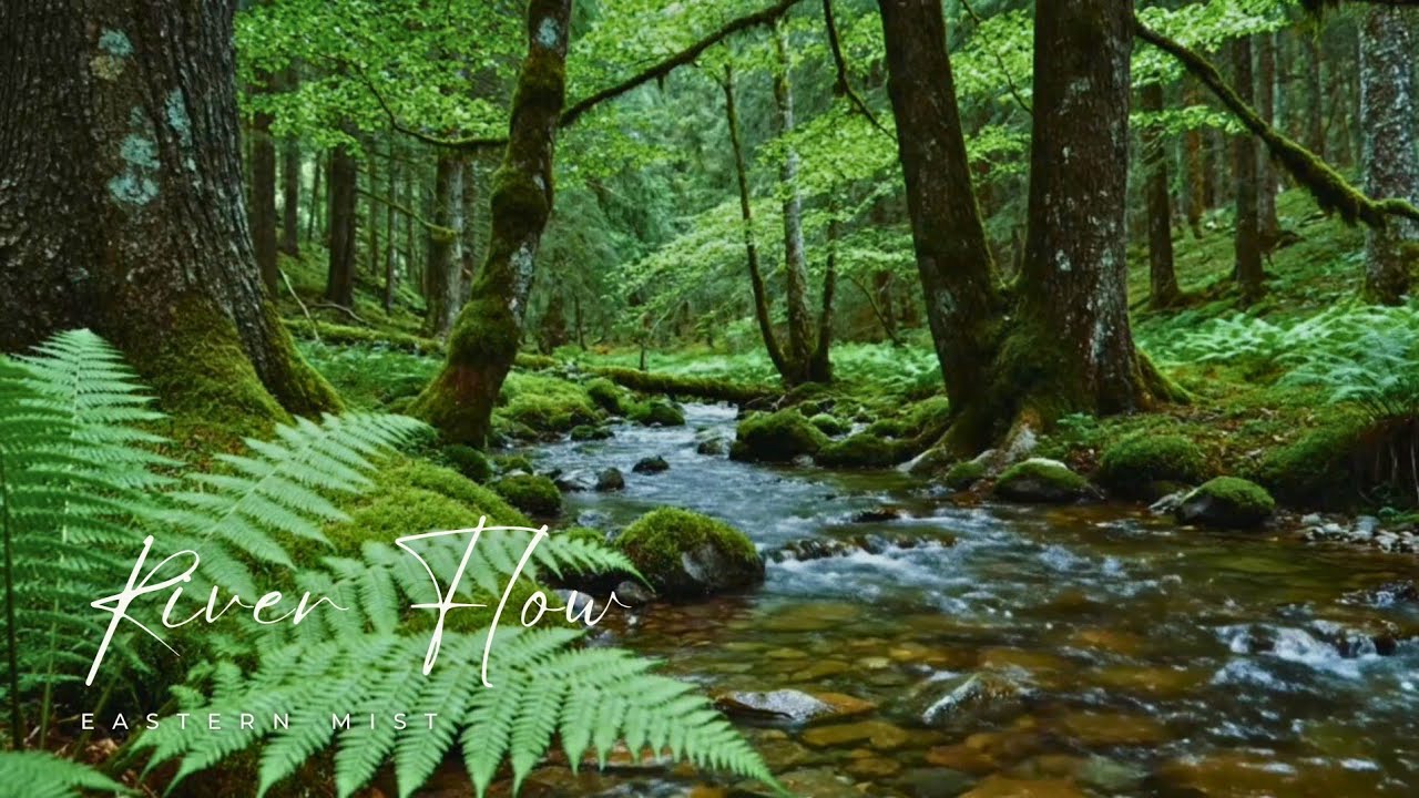 Forest Stream ASMR | Relaxing Nature Sounds for Sleep & Study