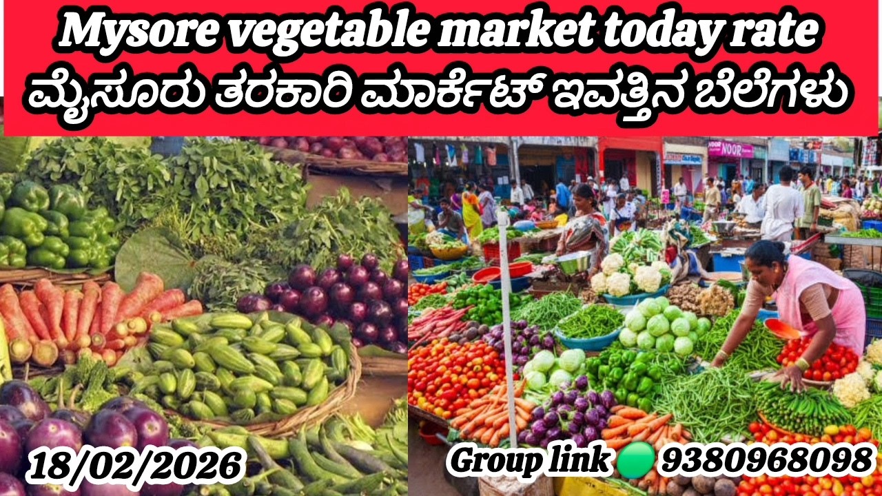 || Mysore tarkari market today rate.? 18/02/2025 ಮೈಸೂರ್ ತರಕಾರಿ ಮಾರ್ಕೆಟ್ ಇವತ್ತಿನ ಬೆಲೆಗಳು.?