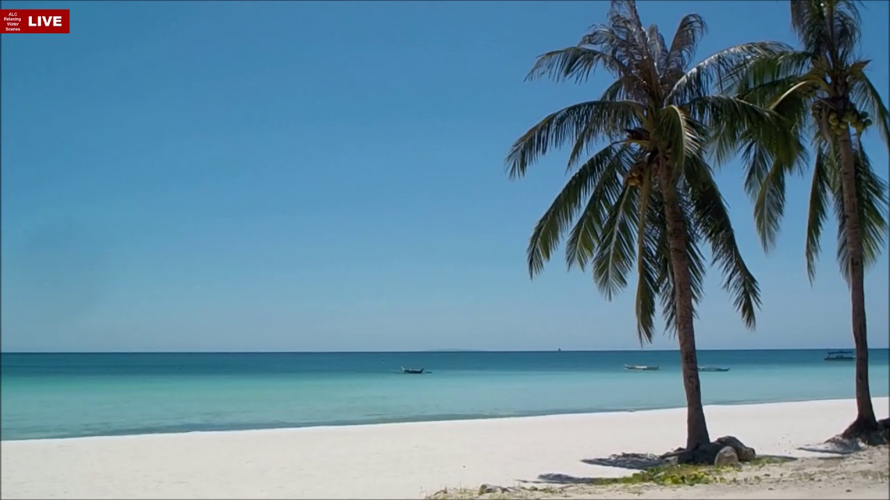 Boracay Beach, Philippines Zoom Background - Coconut Trees (Part 3)