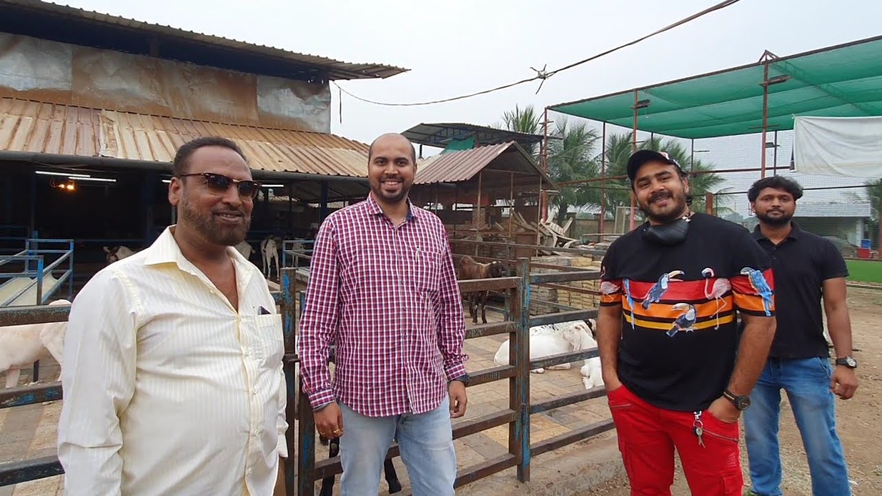 Naiyyara Goat Farm Introduction Tour | Fun And Relaxing Place.