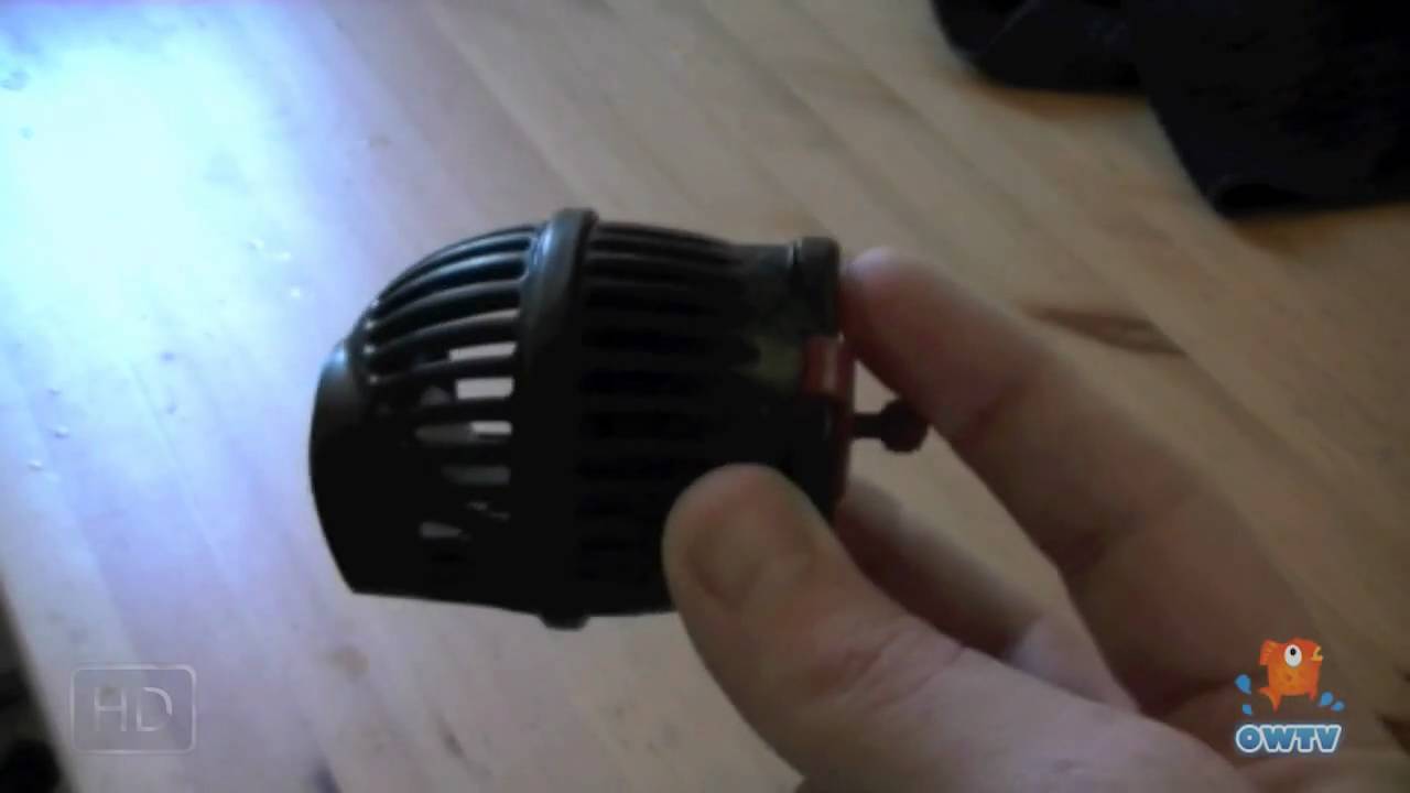 How To: Remove Coralline from Pumps