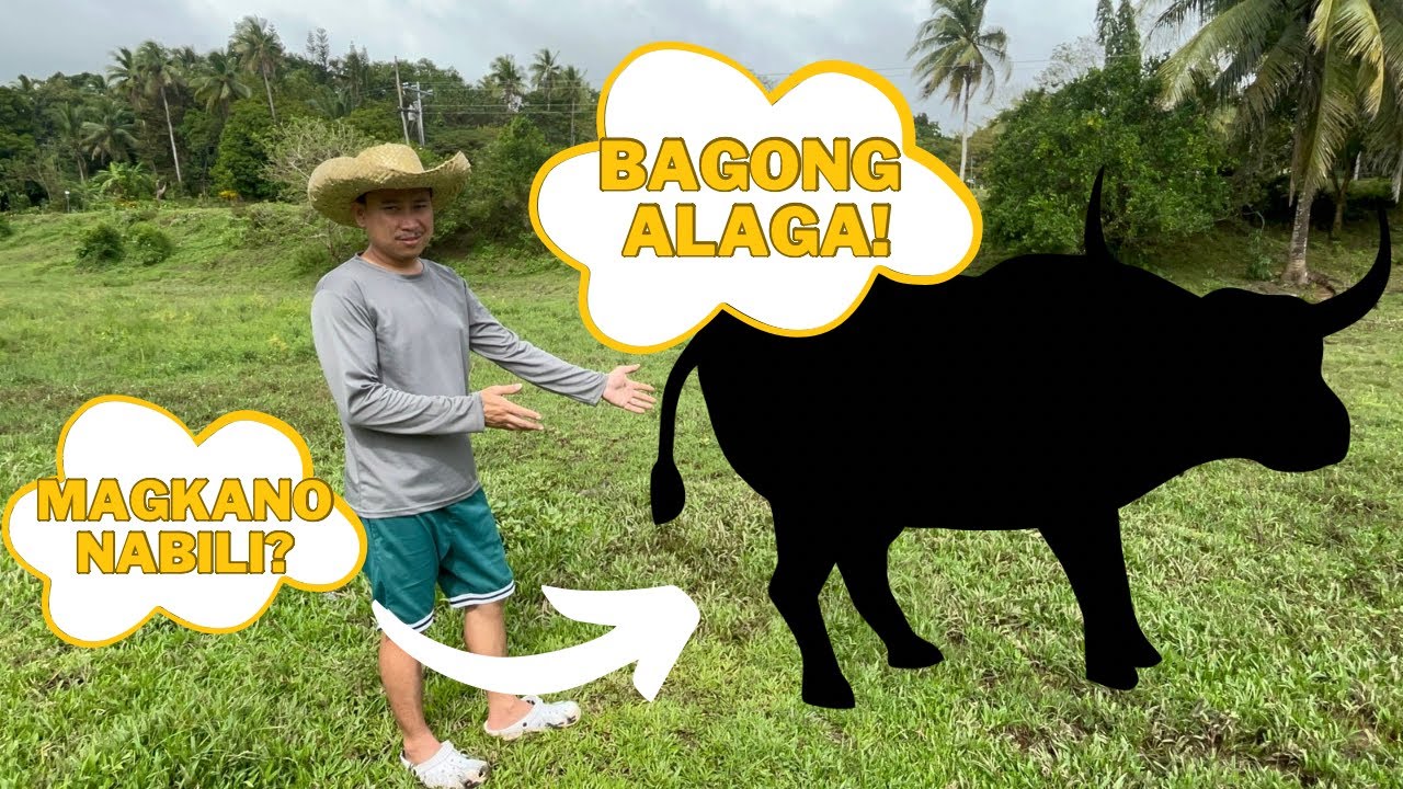 Nakabili Tayo ng Bagong Alagain sa Bukid