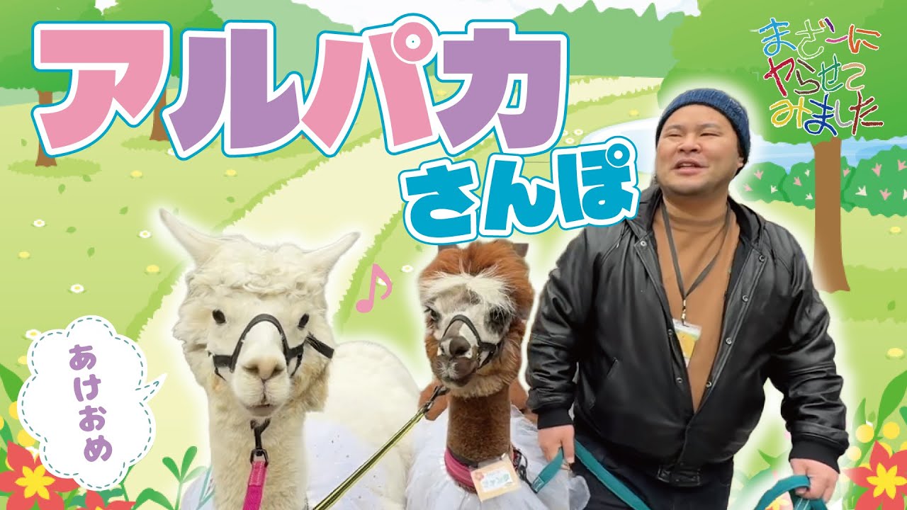 都内でアルパカとおさんぽ出来る衝撃の体験に、まざー大興奮!? 動物たちと触れ合う癒やしの非日常を味わいました【まざーにヤらせてみました まざー3 実写】