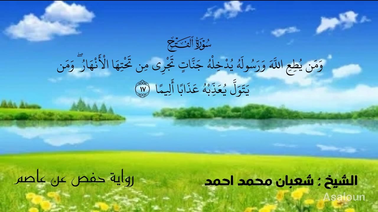 سورة الفتح : الشيخ شعبان محمد احمد 
