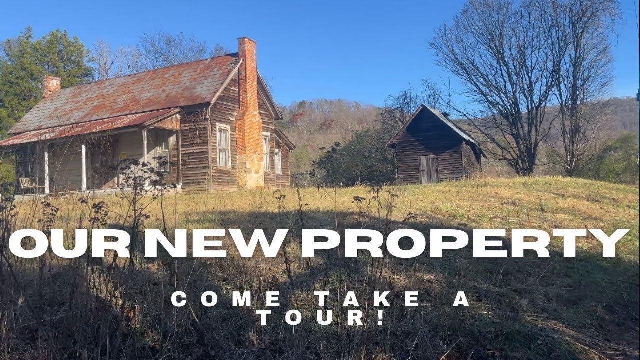We Bought 60 Acres!  Ep. 4