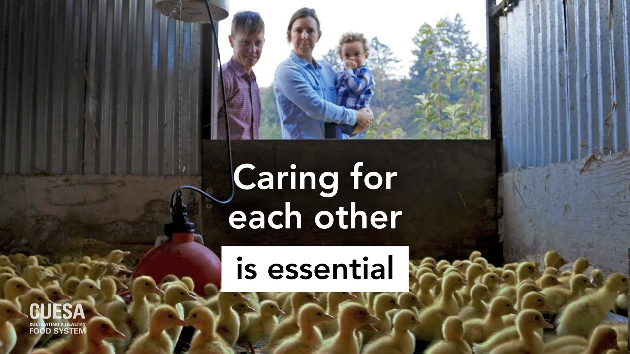 Caring for Each Other Is Essential: Root Down Farm