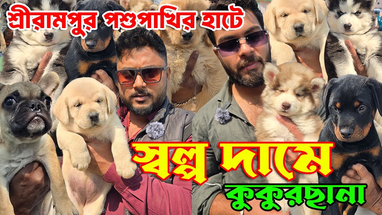 Cheapest Dog Market in Kolkata । Serampore Pet Market । Dog Market in Kolkata