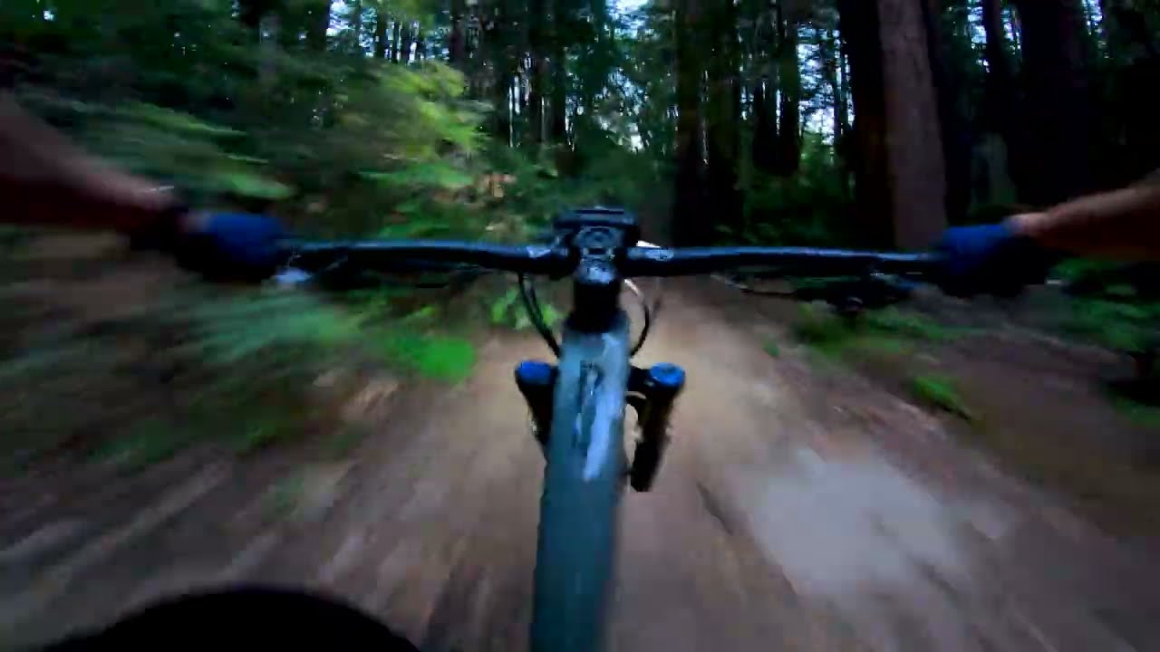 Tuesday Nighter - 6/14/22