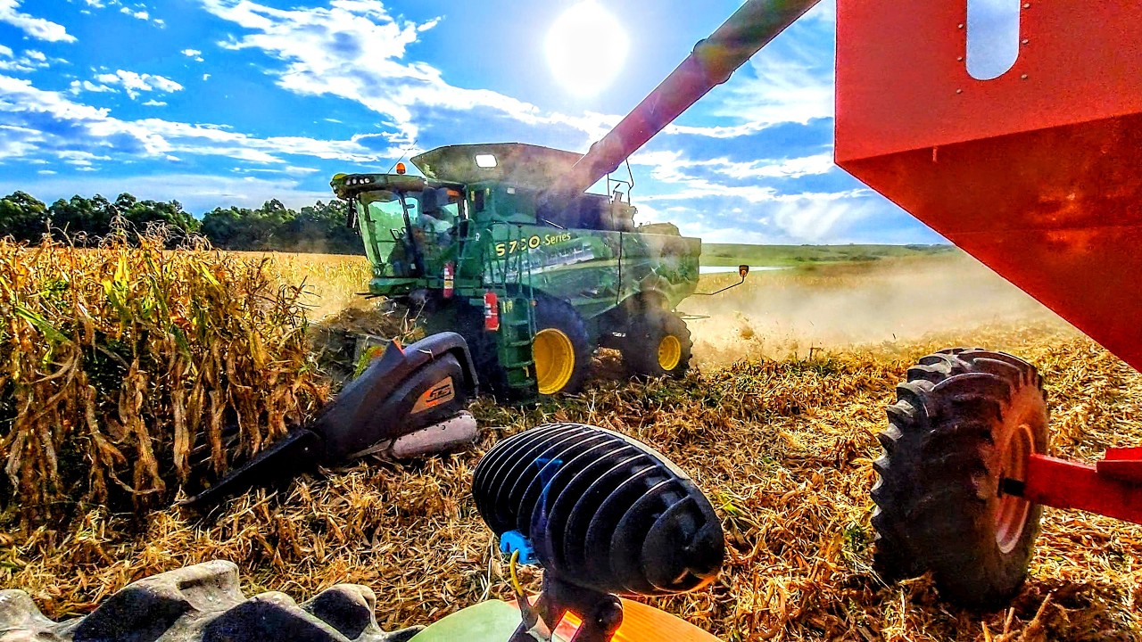 ⚠️INCRÍVEL A PRODUÇÃO DO MILHO PIONEER 3016🌽 COLHEITA COM JOHNDEERE S780 E GTS 1745⚠️