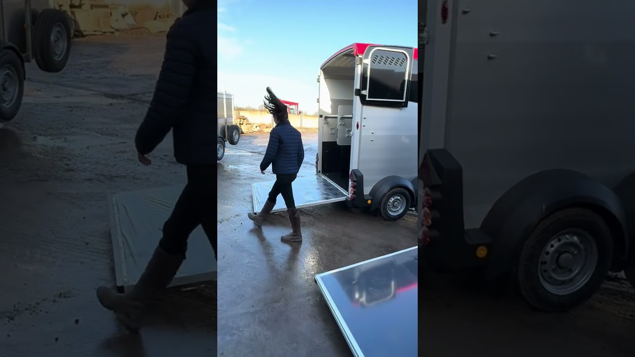 The Difference between the Ifor Williams HB and HBX horse Trailers 
