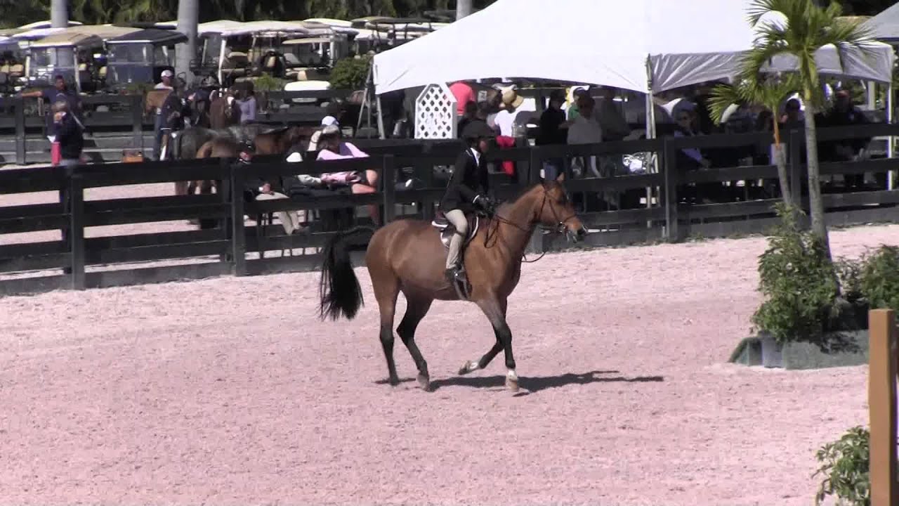 WEF 6 Chino 3