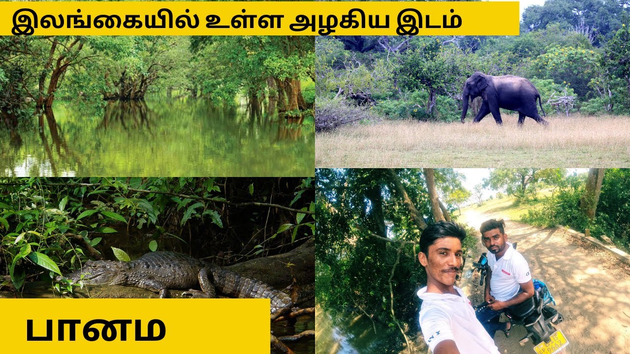 Panama |  Arugambay | Sri Lanka | ulla | pottuvil  | batticaloa |  kumana| Pk vlogs Tamil