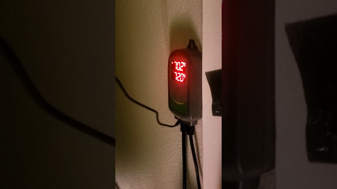 $$Cannabis Pro Tips- Week 1 flowering$$