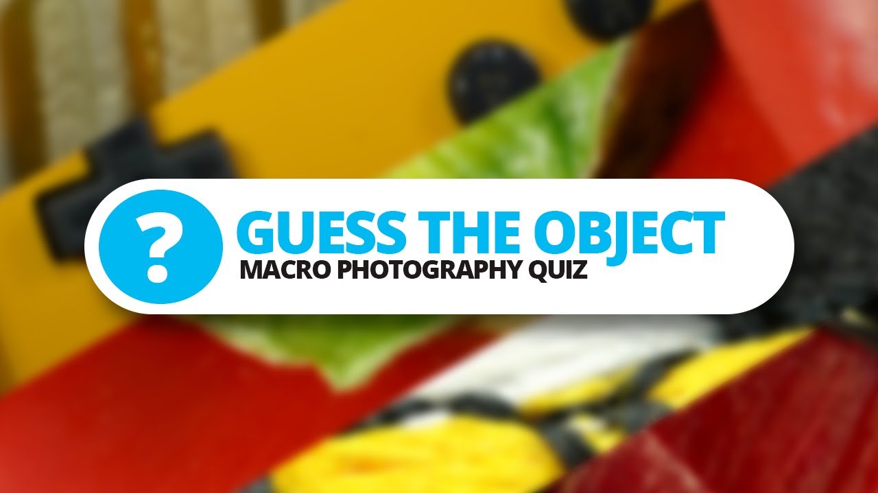 Can you guess the magnified objects? - Macro Photography Quiz