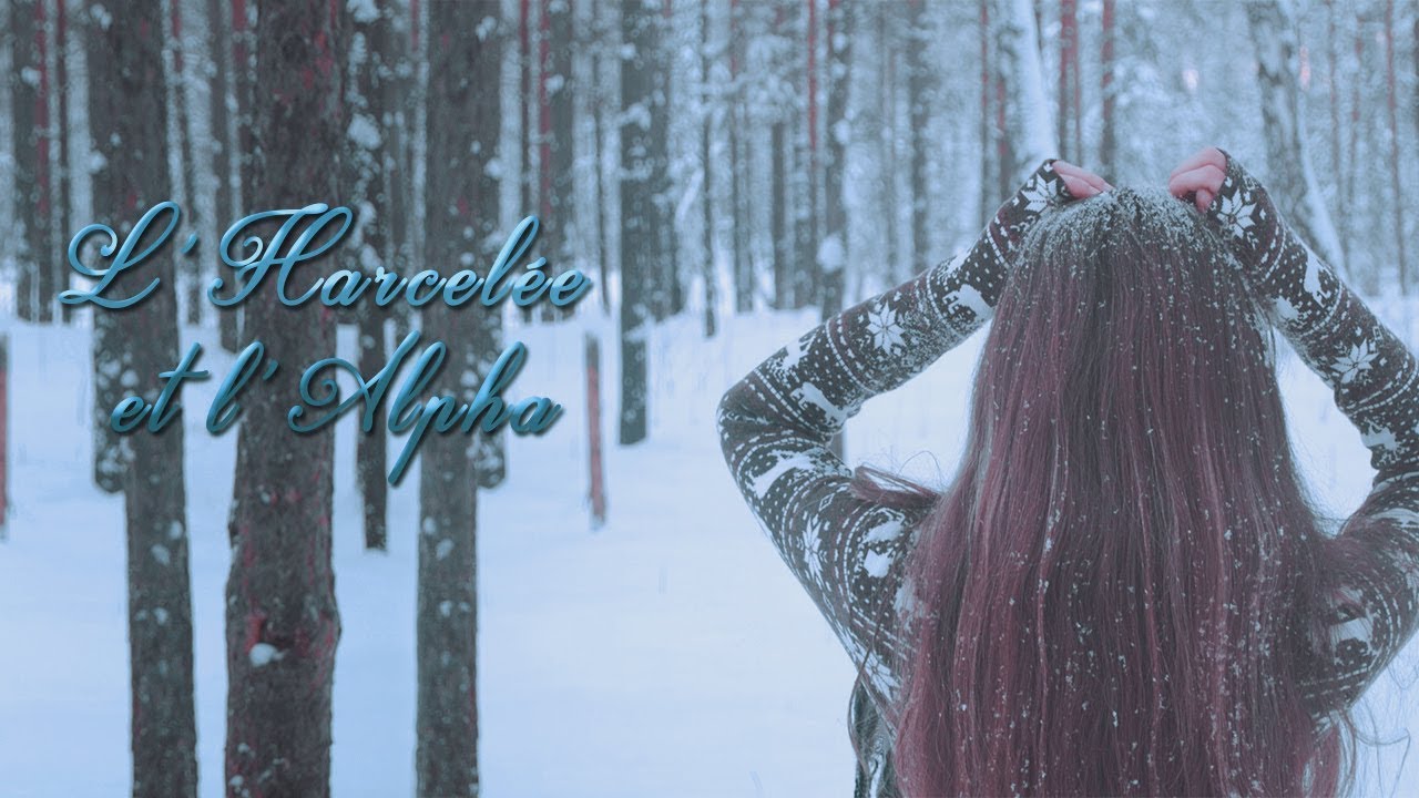 L'Harcelée et L'Alpha { Wattpad Trailer French }