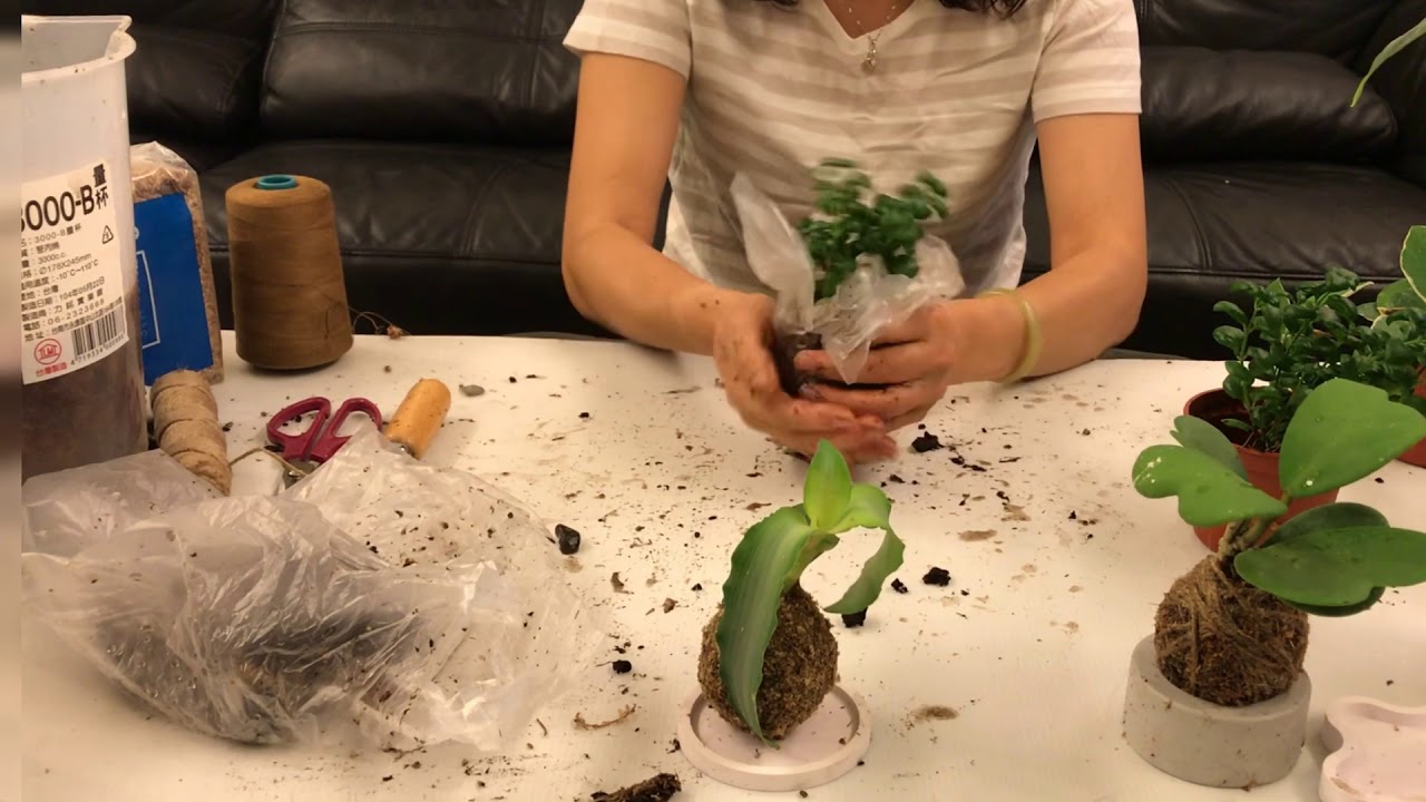 #9｜水苔球製作/療癒系列