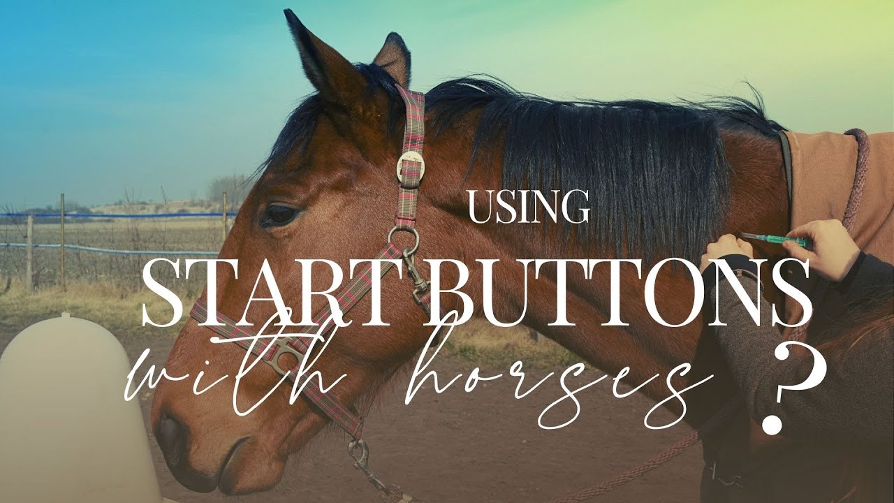 Using START BUTTONS with our horses?