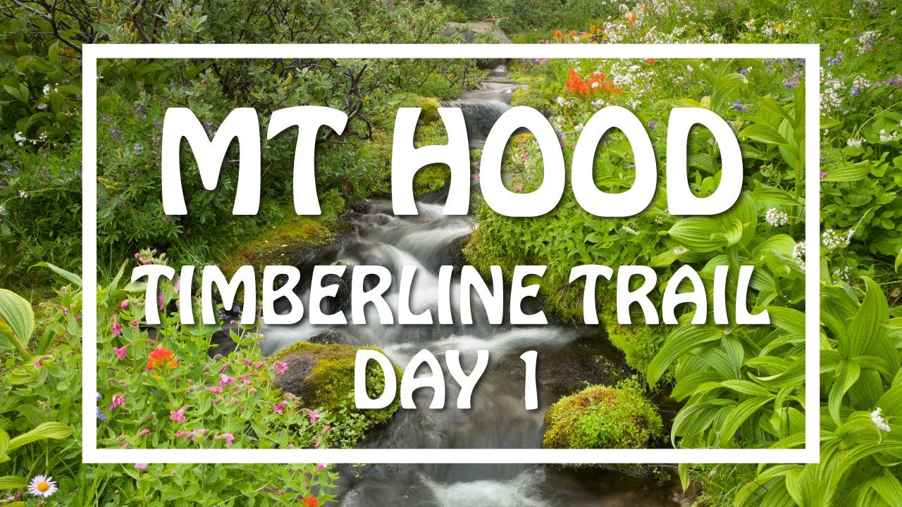 Mt Hood | TIMBERLINE TRAIL | Day 1 | Timberline Lodge to Paradise Park