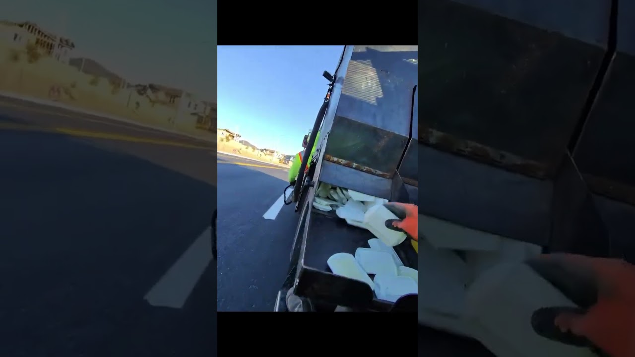 &Eacute; por isso que as tartarugas nunca s&atilde;o retas na estrada