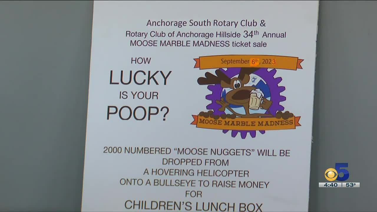 Moose poop magic! Rotarians Dropping moose marbles from a helicopter! Only in Alaska.