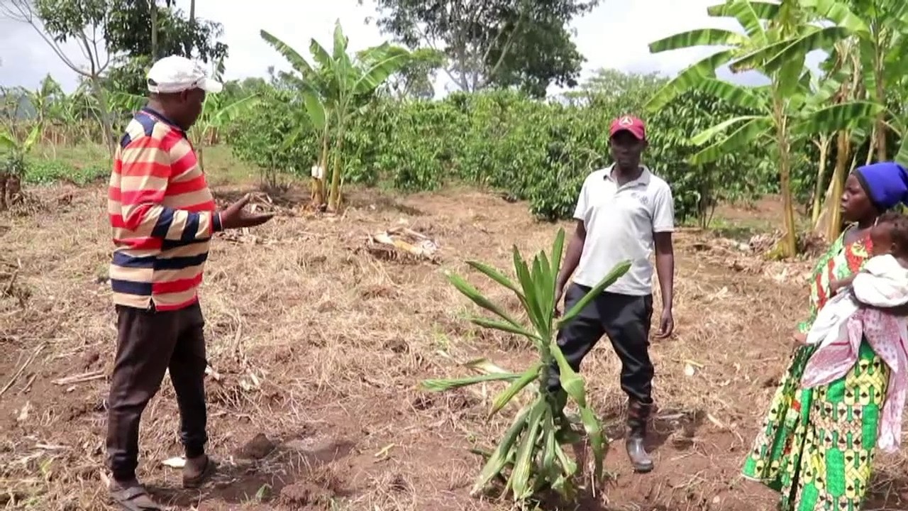 Agabuutikidde Endooliito ku ttaka Munnamagye agugulana n'abatuuzeyayerudde  empedde ku bibanja byabw