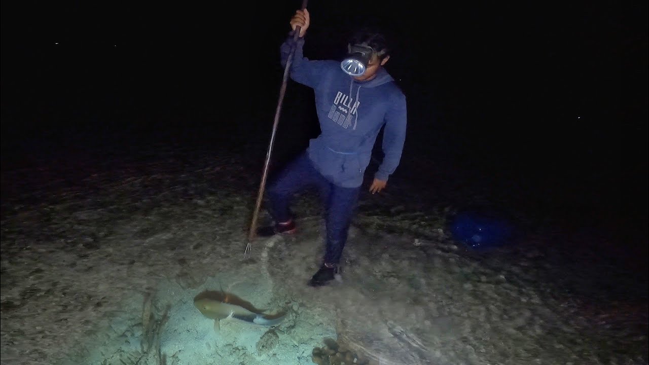 Menombak ikan sendiri malam hari kembali ke spot kemaren panen melimpah