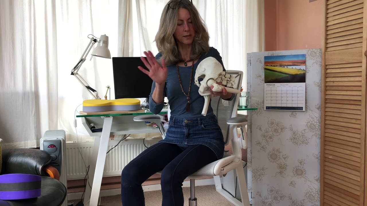 The Sit Bones and Where To Sit On Them For Good Posture