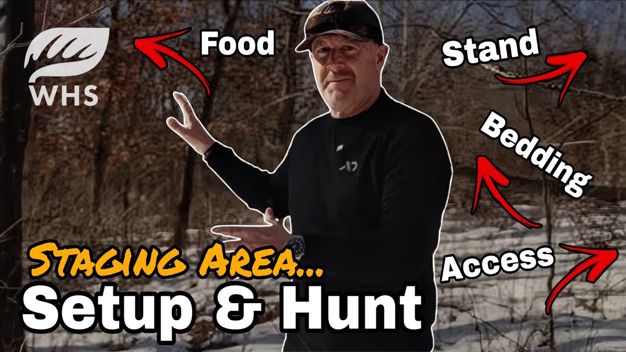 Организация мест сбора для поиска пищи