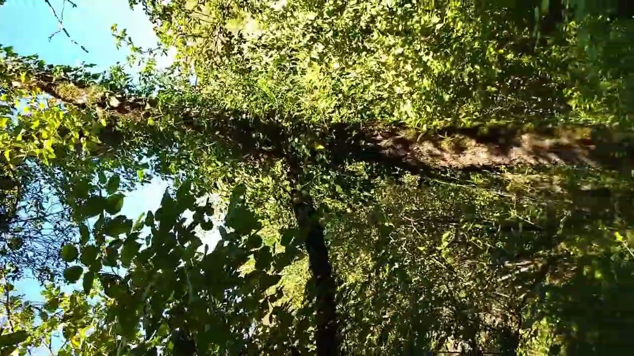 Акапа Одиши Константиновка Сухум Абхазия