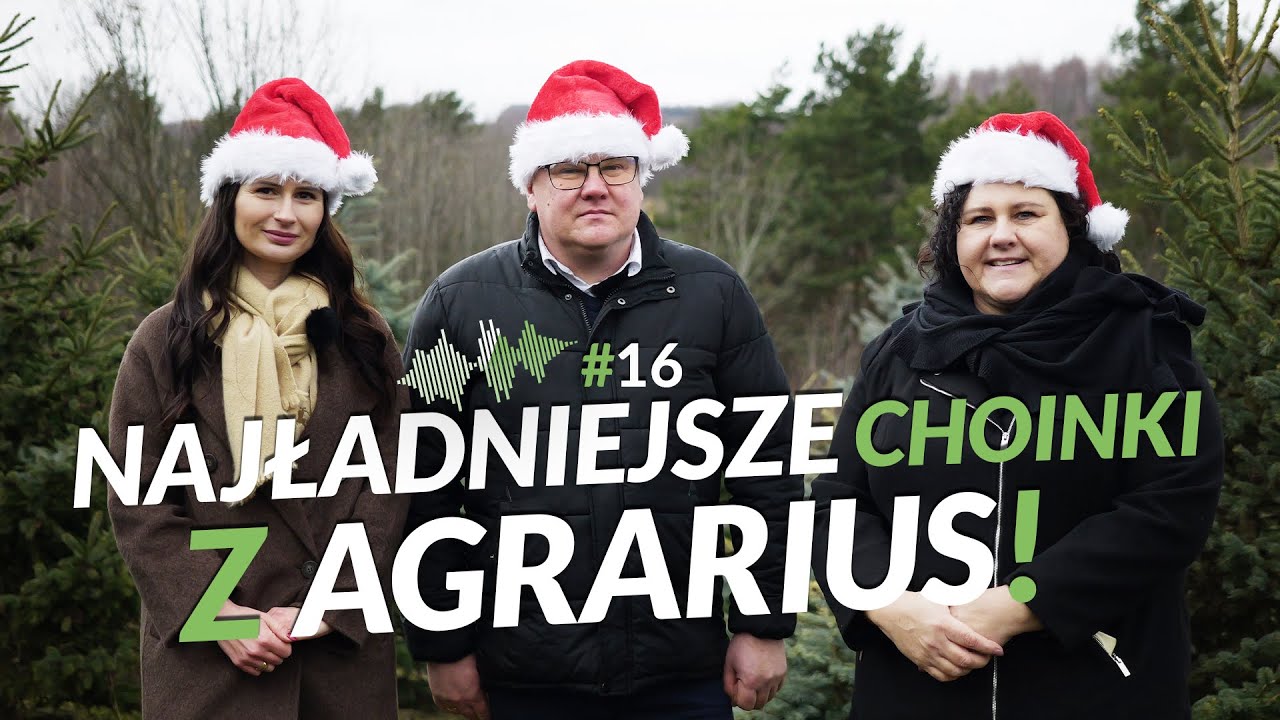 Najładniejsze choinki z AGRARIUS! | Podsumowanie sezonu 2025 | UprawoMocni #16