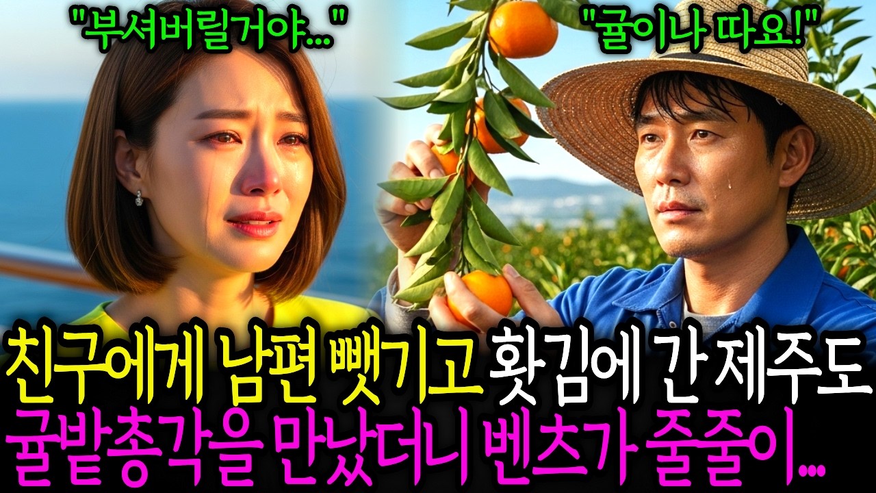 친구에게 남편 뺏기고 홧김에 간 제주도에서 백만장자 귤밭 총각을 만나서 복수를 하게 되는데..며칠후 벤츠가 줄줄이..  노후사연 ㅣ시니어사연 ㅣ사연채널 ㅣ오디오북