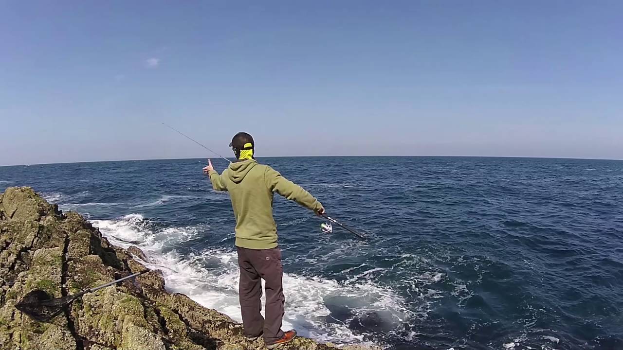 Frantic Pollack at Eyemouth